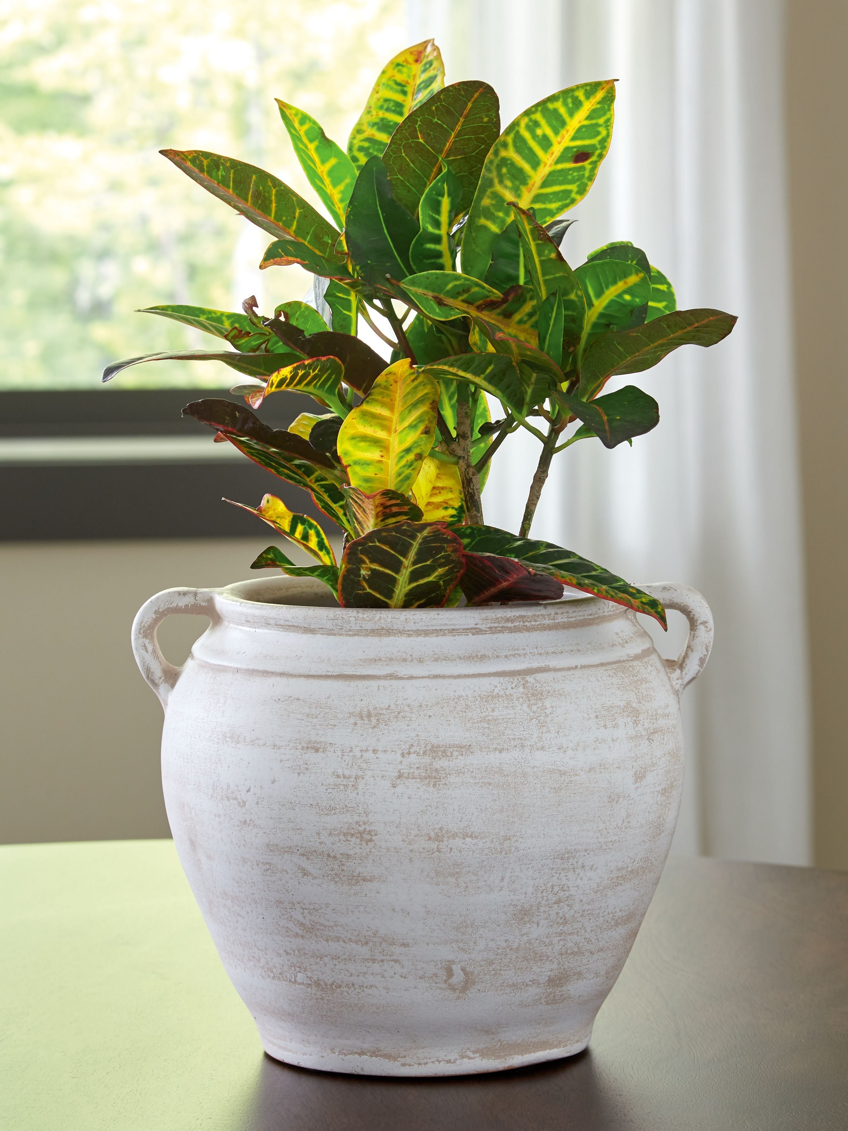 Meadie - 9" Vase - Stylish Home Furniture