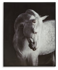 Archerwick - Wall Art - Black / White - Stylish Home Furniture