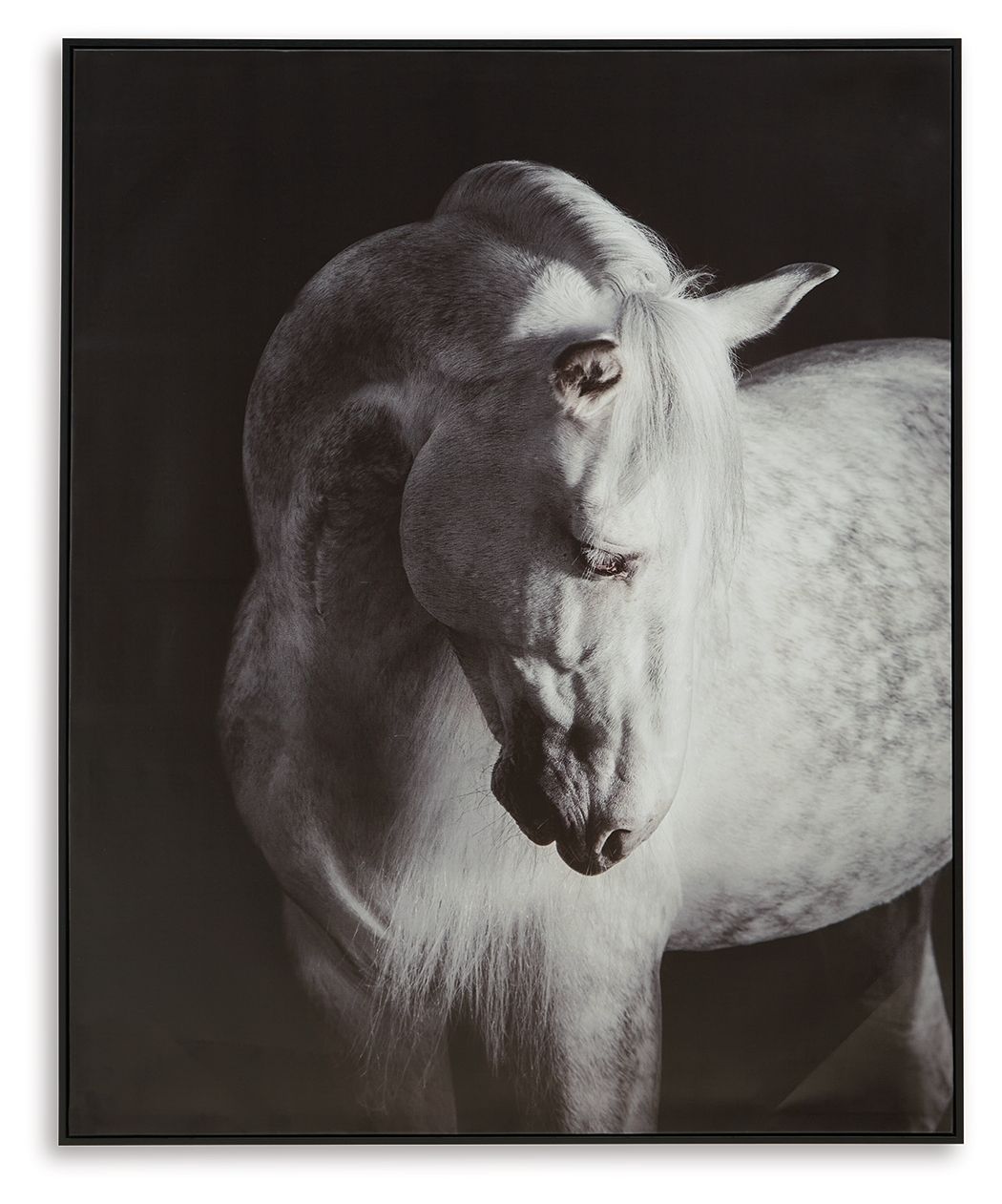 Archerwick - Wall Art - Black / White - Stylish Home Furniture