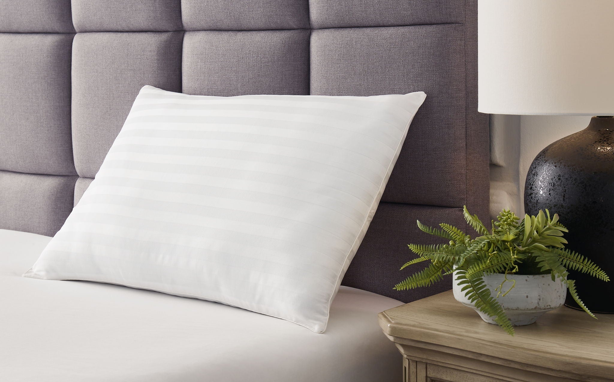 Zephyr 2.0 - Cotton Pillow - Stylish Home Furniture