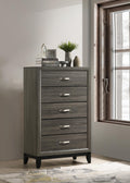 B371 - Chest - Gray - Stylish Home Furniture