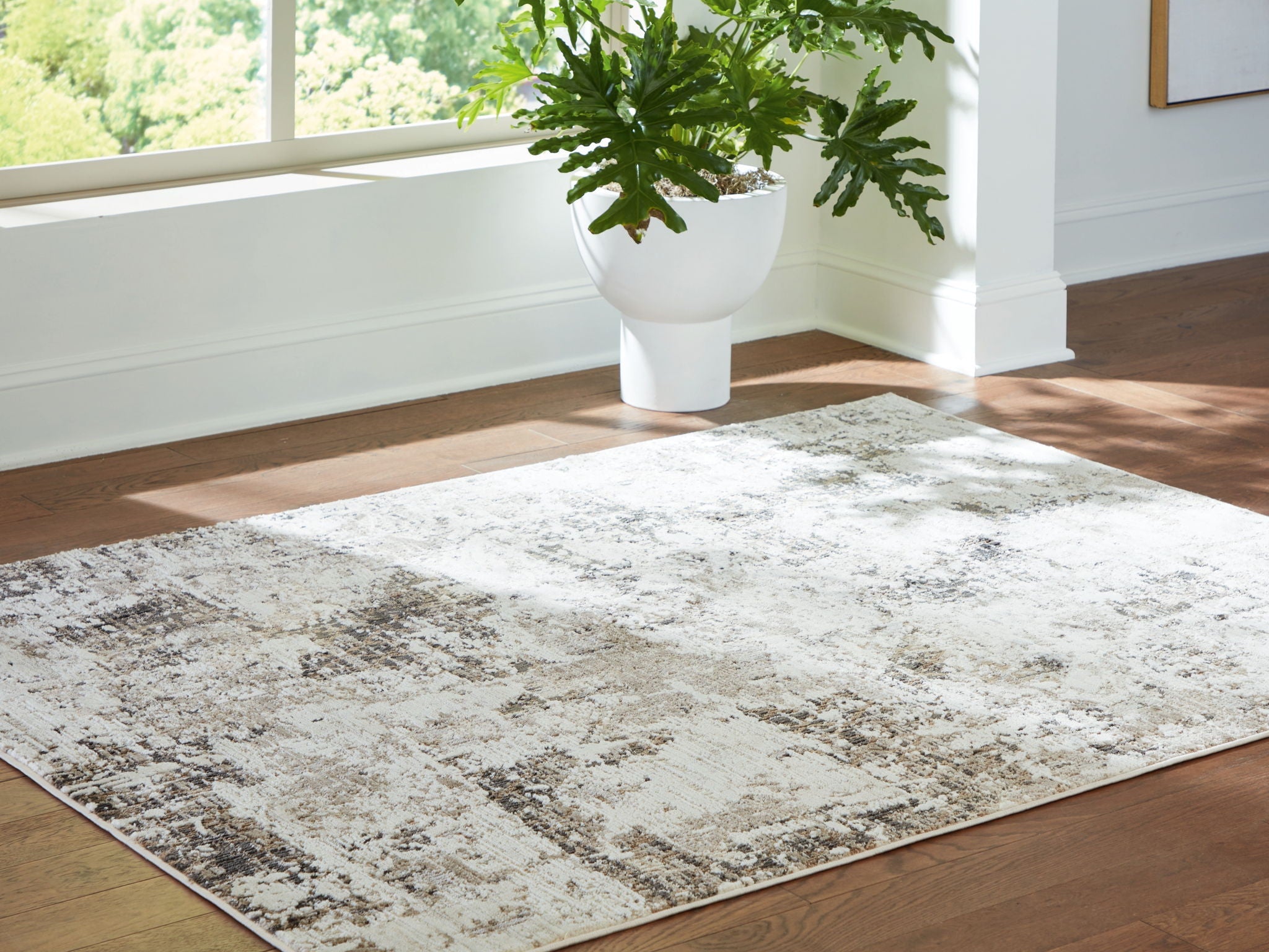 Barricland - Rug - Stylish Home Furniture
