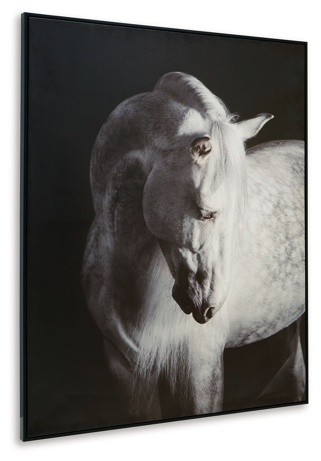 Archerwick - Wall Art - Black / White - Stylish Home Furniture