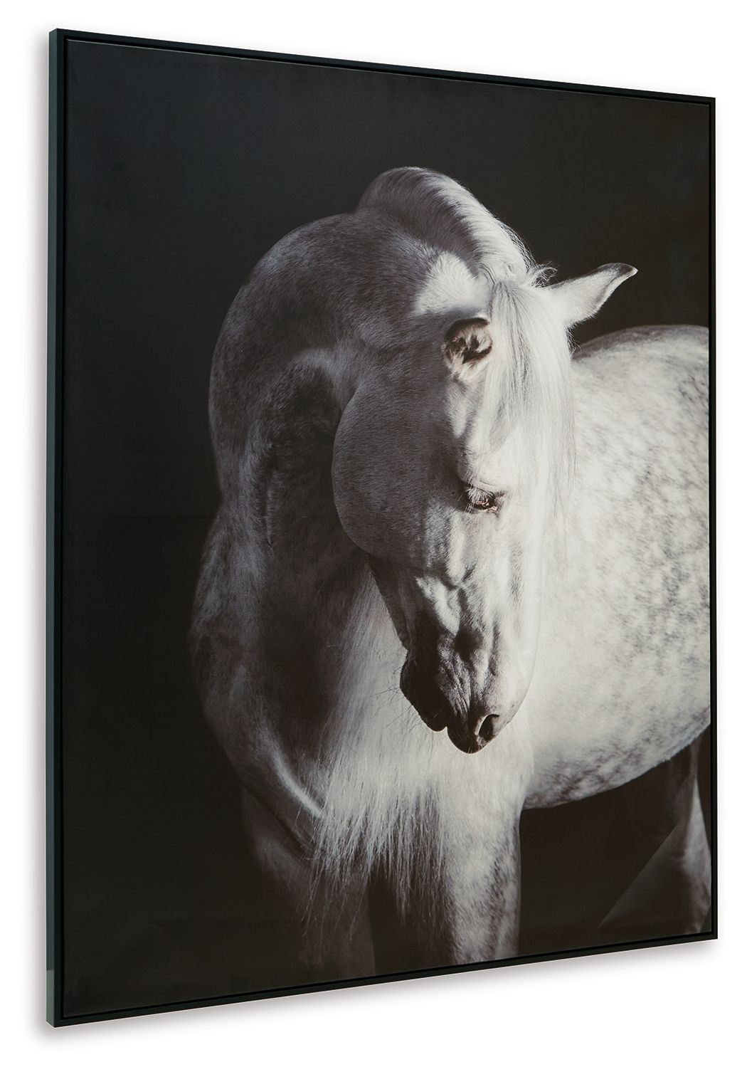 Archerwick - Wall Art - Black / White - Stylish Home Furniture